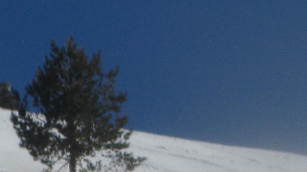 Kackar Pansiyon Yaylalar Bagian luar foto